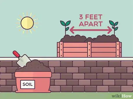 Image titled Grow Tea Step 9