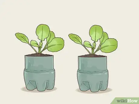 Image titled Be Self Sufficient in a City Step 4