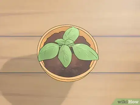 Image titled Transplant Herb Seedlings Step 8