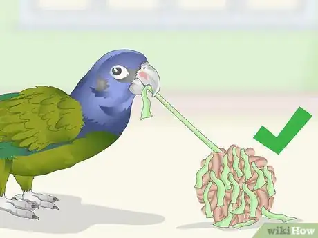 Image titled Keep a Pionus Parrot Entertained Step 2