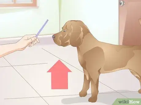 Image titled Clicker Train a Dog to Bow Step 7