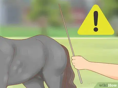 Image titled Get a Horse Under Control Step 15
