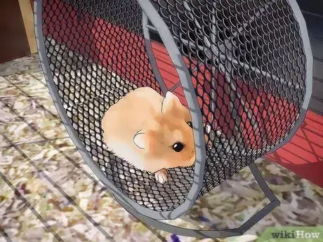 Image titled Disinfect a Hamster's Cage Step 11