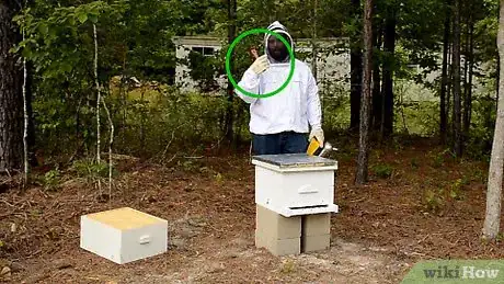 Image titled Work With Bees Step 13