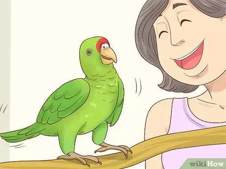 Image titled Choose an Amazon Parrot Step 6