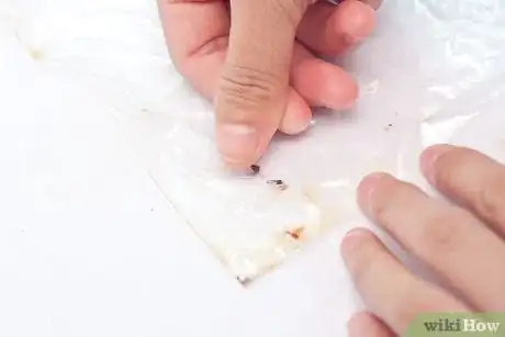 Image titled Kill Gnats Using a Ziplock Freezer Bag Step 7