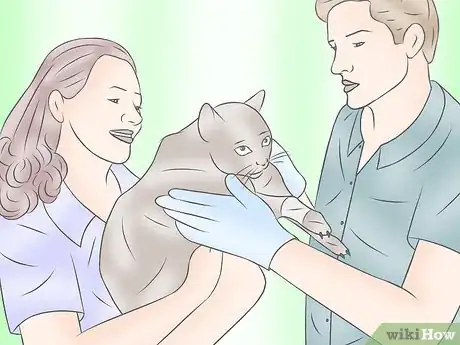 Image titled Become a Veterinary Technician Step 2