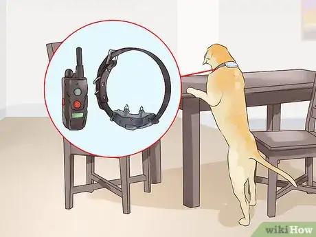 Image titled Set Consistent Limits for a New Dog Step 5