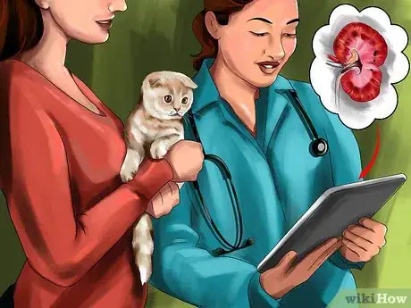 Image titled Supplement Taurine for Cats Step 3