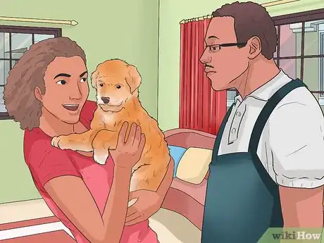 Image titled Understand Small Dog Syndrome Step 15