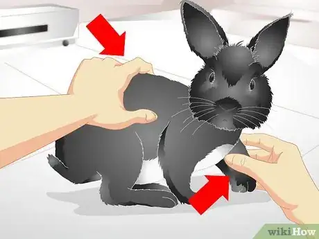 Image titled Keep Your Rabbit Slim Step 14