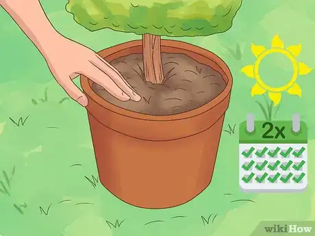 Image titled Maintain a Planter Step 8