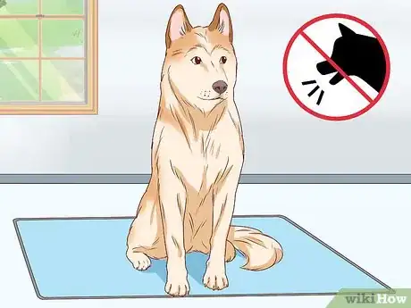 Image titled Tell if a Dog Is Pregnant Step 16