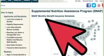 Check Food Stamp Balance Online