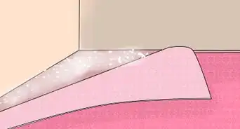 Apply Diatomaceous Earth to Carpet