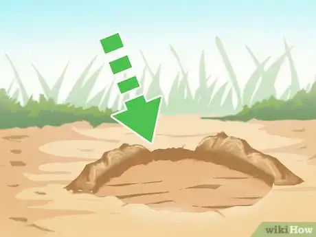 Image titled Make a Coyote Trap Step 11