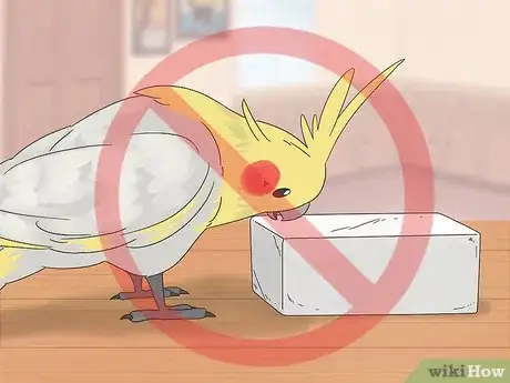 Image titled Treat Chlamydiosis in Cockatiels Step 6
