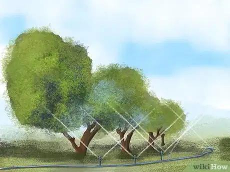 Image titled Grow Olives Step 13