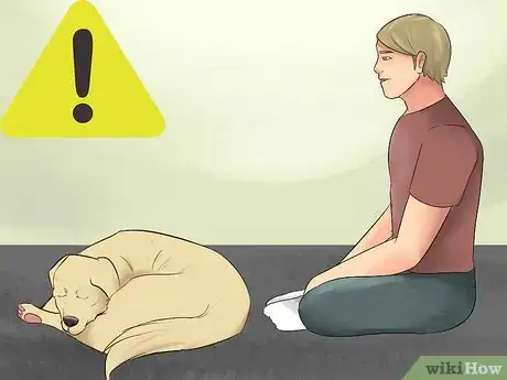 Image titled Watch for Signs of Illness in Senior Dogs Step 10