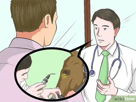 Image titled Protect an Injured Eye on a Horse Step 6