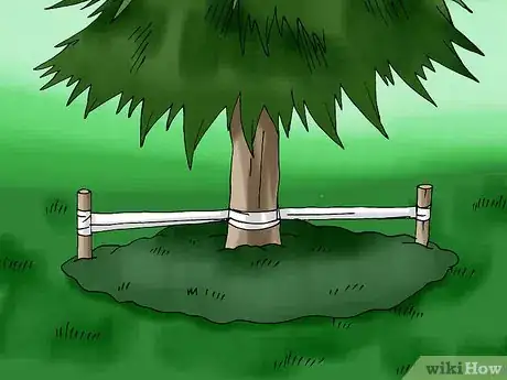 Image titled Plant a Living Christmas Tree Step 16