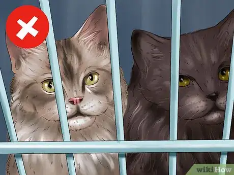 Image titled Find Safe Placement for Your Cat After Foreclosure Step 10