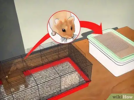 Image titled Disinfect a Hamster's Cage Step 2