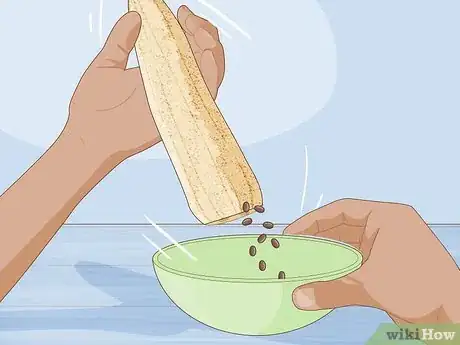 Image titled Grow Loofah Sponges Step 13