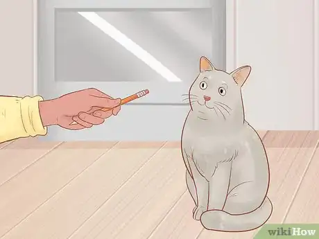 Image titled Target Train a Cat Step 8