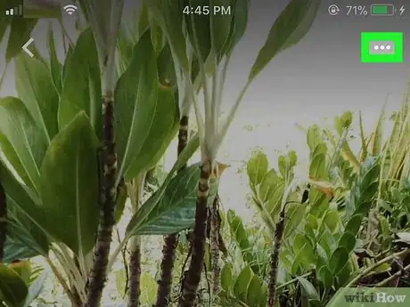 Image titled Set a Wallpaper on Google Photos on iPhone or iPad Step 3