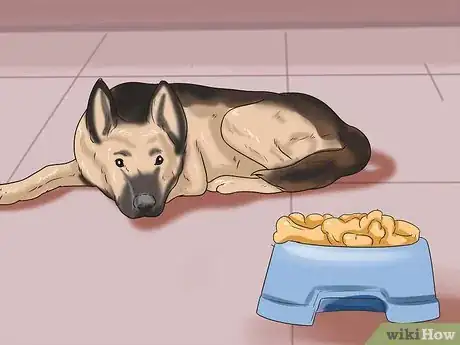 Image titled Tell if a Dog Is in Pain Step 7