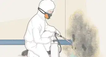 Prevent Mold Growth in Your Vacation Home