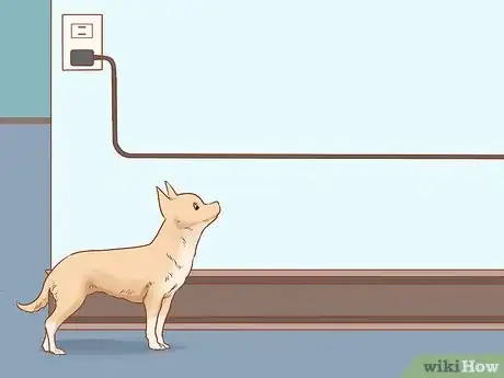 Image titled Prevent Your Chihuahua from Behaving Badly Step 4