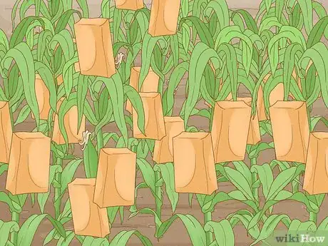 Image titled Protect Your Garden from Birds Step 6