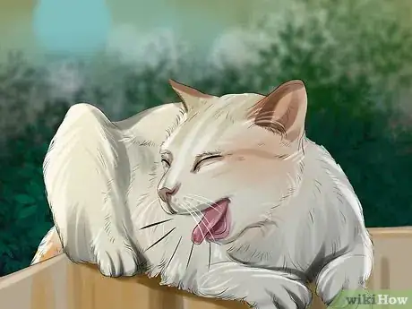 Image titled Tell if a Cat Has a Sore Throat Step 3
