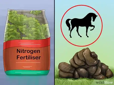 Image titled Treat and Prevent Nitrate Toxicity in Cattle Step 2