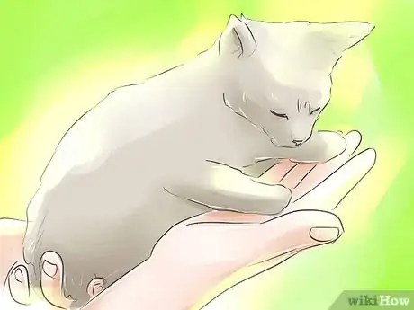 Image titled Find People for Free Step 9