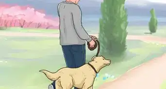 Keep Your Dog from Being Bored