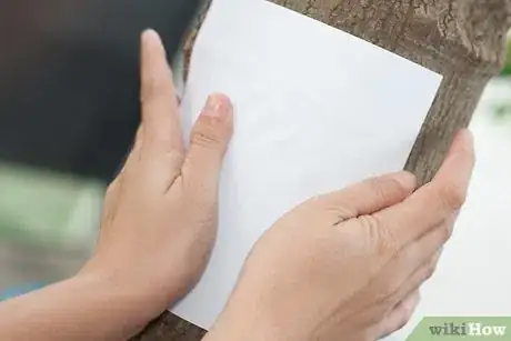 Image titled Make a Bark Rubbing Step 3