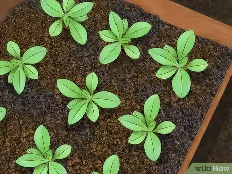 Image titled Use Vermiculite in a Container Garden Step 7