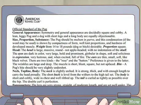 Image titled Choose a Pug Step 1