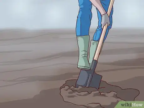 Image titled Care for a Living Christmas Tree Step 10