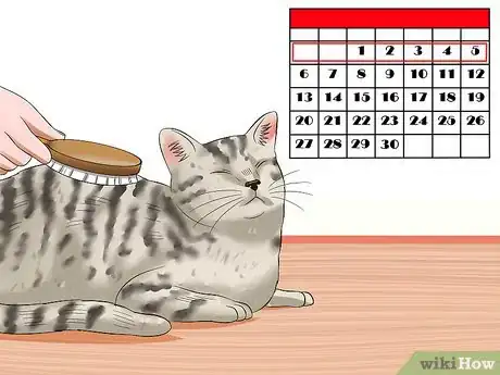 Image titled Care for Egyptian Maus Step 10