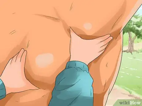 Image titled Massage a Horse Step 3