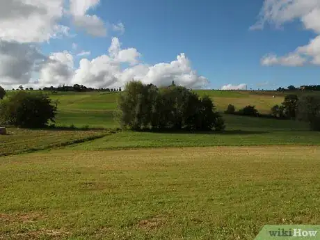 Image titled Buy Fruit Trees Step 2