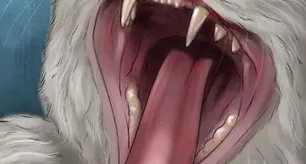 Handle Feline Eosinophilic Granuloma Complex