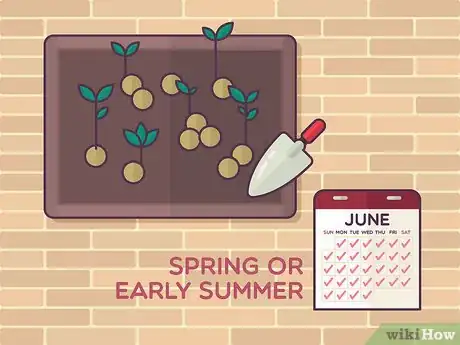 Image titled Grow Tea Step 5