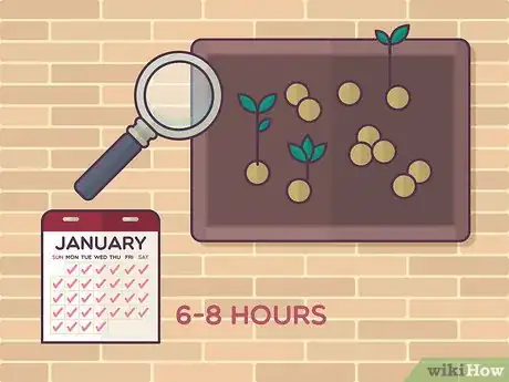 Image titled Grow Tea Step 4