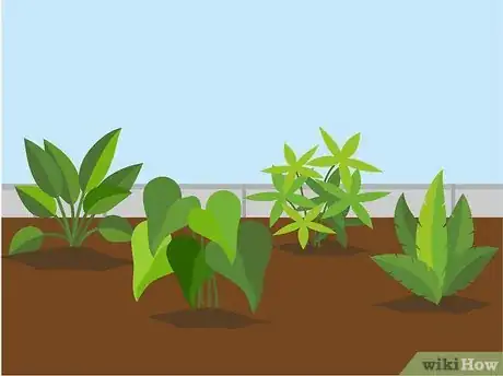 Image titled Conserve Water in Your Garden Step 15