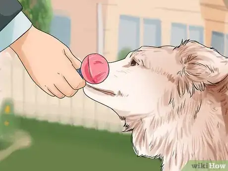 Image titled Get Your Dog to Welcome Your Baby Step 7